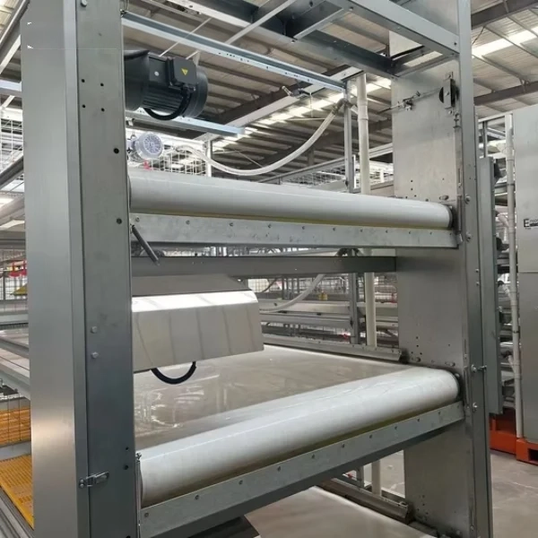 100% pp manure belt for chicken cage conveyor (1)_WH_600x600px 100% PP Manure Conveyor Belt For Chicken Cage Manure Removal System
