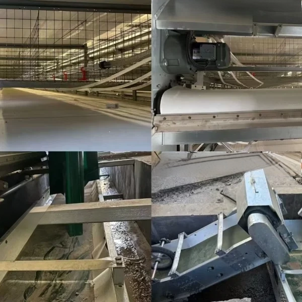 100% pp manure belt for chicken cage conveyor (3)_WH_600x600px 100% PP Manure Conveyor Belt For Chicken Cage Manure Removal System