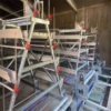 3581744a A Type Fully Automatic Layer Chicken Cage