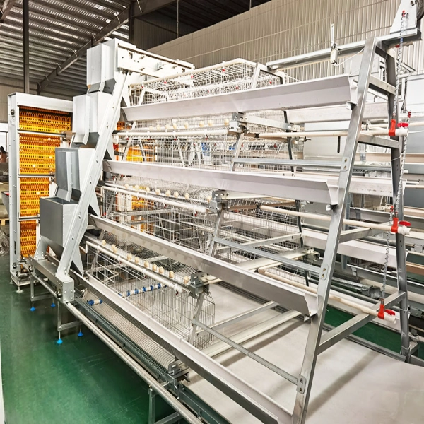 A type layer cage (10) A Type Fully Automatic Layer Chicken Cage
