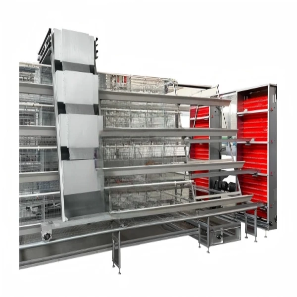 A type layer cage (13) A Type Fully Automatic Layer Chicken Cage