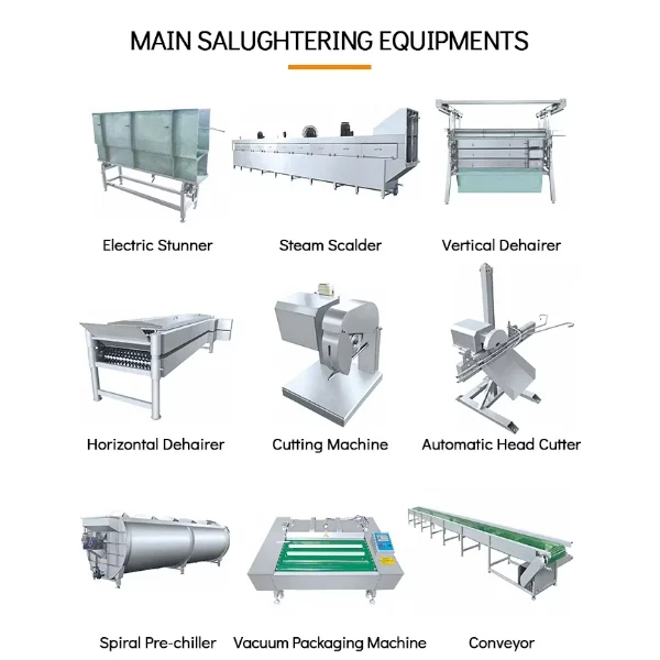 Automatic Chicken Slaughter Line