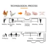 Automatic Chicken Slaughter Line