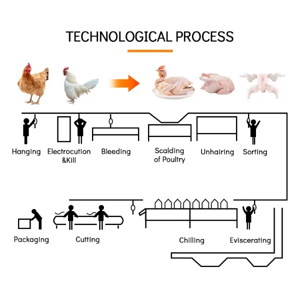 Automatic Chicken Slaughter Line