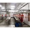 Automatic Chicken Slaughter Line