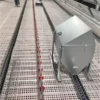 CHAINE FEEDING SYSTEM CHINA FACTORY (12)_WH_600x600px Poultry Chain Feeding System for Broilers