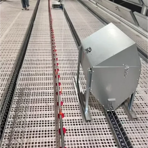 CHAINE FEEDING SYSTEM CHINA FACTORY (12)_WH_600x600px Poultry Chain Feeding System for Broilers