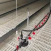 CHAINE FEEDING SYSTEM CHINA FACTORY (13)_WH_600x600px Poultry Chain Feeding System for Broilers