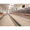 CHAINE FEEDING SYSTEM CHINA FACTORY (1)_WH_600x600px Poultry Chain Feeding System for Broilers