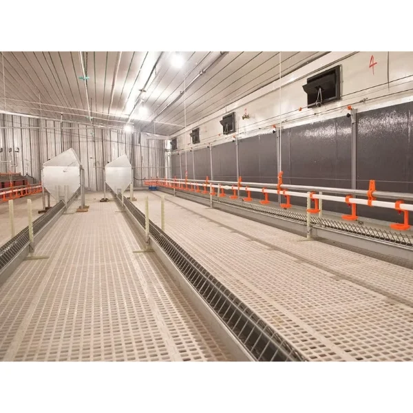 CHAINE FEEDING SYSTEM CHINA FACTORY (1)_WH_600x600px Poultry Chain Feeding System for Broilers