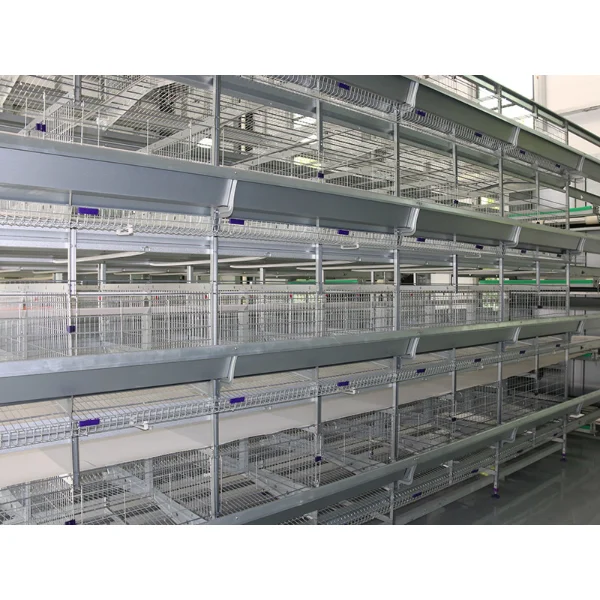 H Type Fully Automatic Layer Chicken Cage