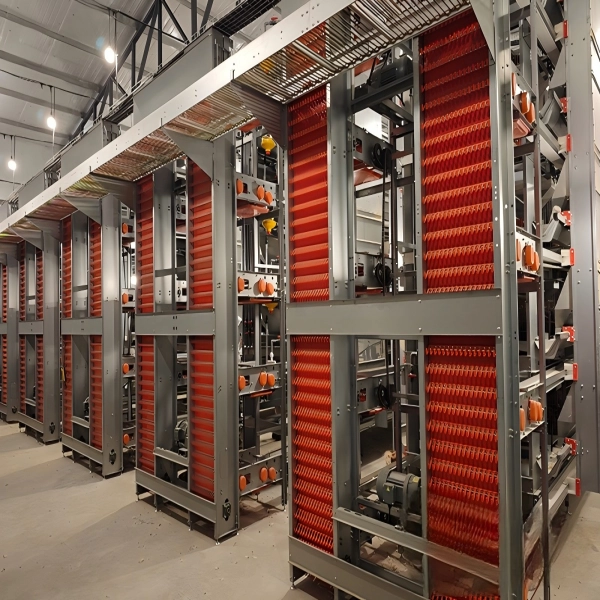 H Type Fully Automatic Layer Chicken Cage