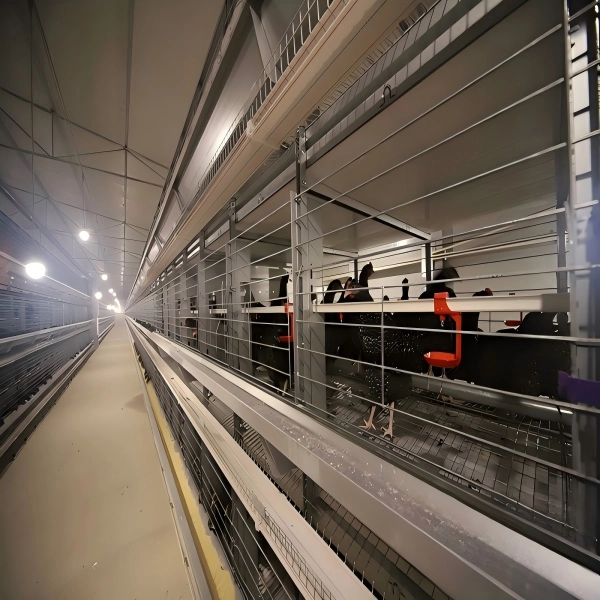 Fully Automatic H-type Breeding Parent Cage