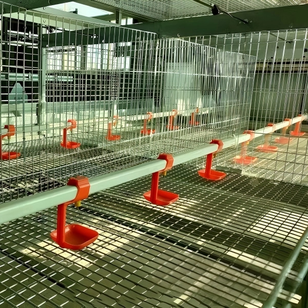Automatic H Type Layer Duck Cage