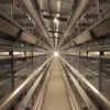 Automatic H Type Layer Duck Cage