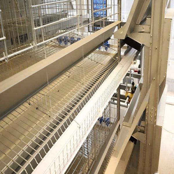 Automatic H Type Layer Duck Cage