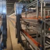 H type pullet cage (1) Automatic H Type Pullet Cage