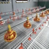 automatic floor raising system for broilers (2)_1 Automatic Broiler Floor Raising System