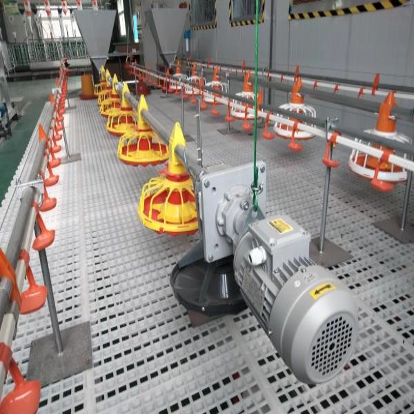 automatic floor raising system for broilers (3) Automatic Broiler Floor Raising System