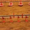automatic floor raising system for broilers (4) Automatic Broiler Floor Raising System