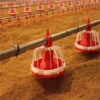 automatic floor raising system for broilers (5) Automatic Broiler Floor Raising System