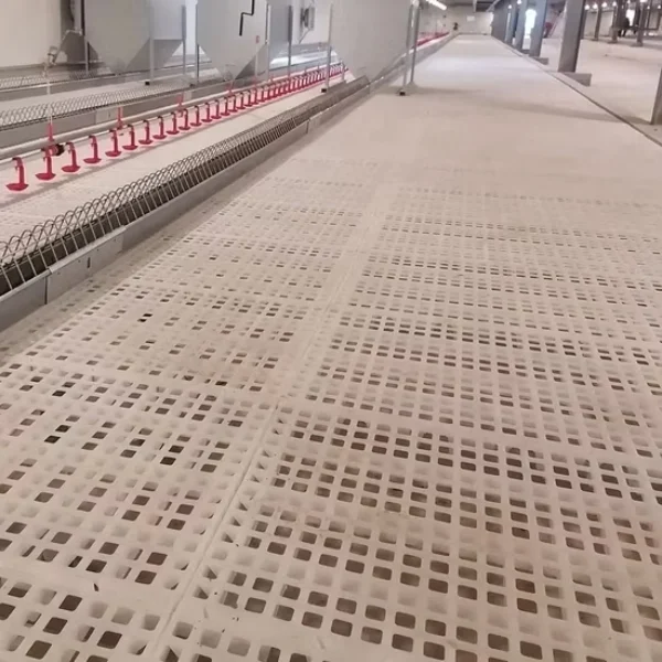 Poultry Farming House Plastic Chicken Slat Floor