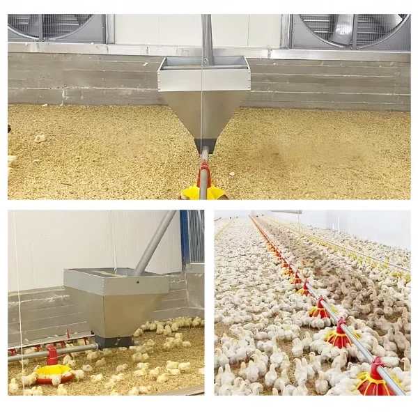 Galvanized Feed Hopper For Poultry
