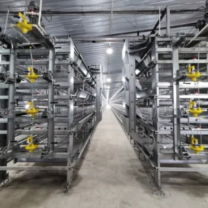 Chain-Type Automatic H Type Broiler Harvesting Cage
