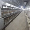 Chain-Type Automatic H Type Broiler Harvesting Cage