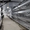 Chain-Type Automatic H Type Broiler Harvesting Cage