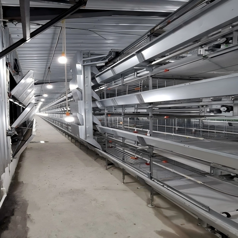 Chain-Type Automatic H Type Broiler Harvesting Cage