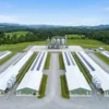 modern poultry house design_WH_600x600px Prefab Steel Structure Chicken House